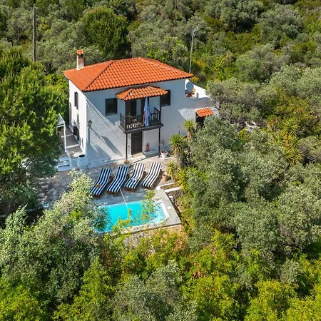 Tresor Boutique * Koliósz