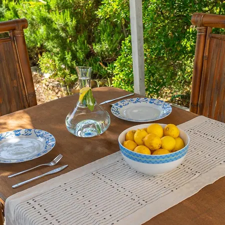 Tresor Boutique Villa