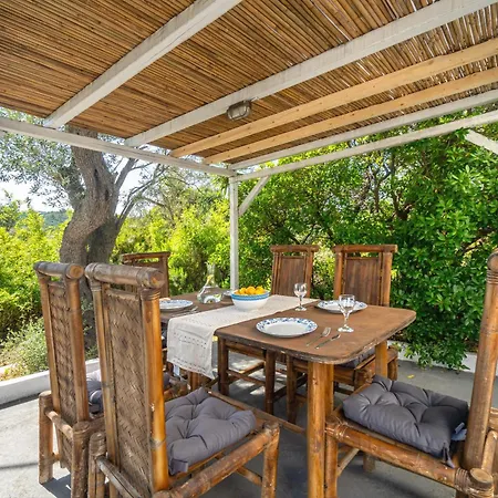 Tresor Boutique * Kolios